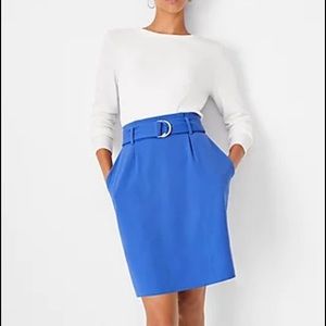 Periwinkle Ann Taylor skirt
